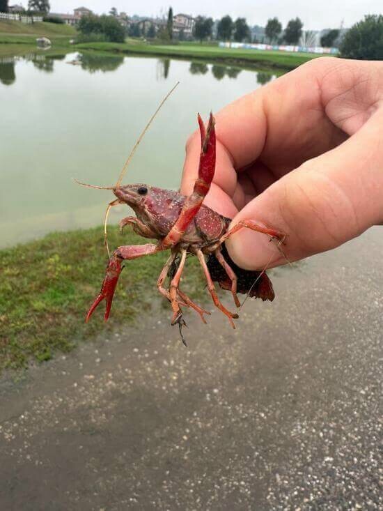 Natte start Friso 8.jpg