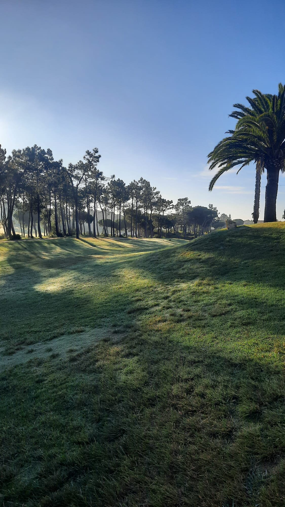 Afbeelding van WhatsApp op 2024-12-06 om 17.17.33_c41f4fc5.jpg