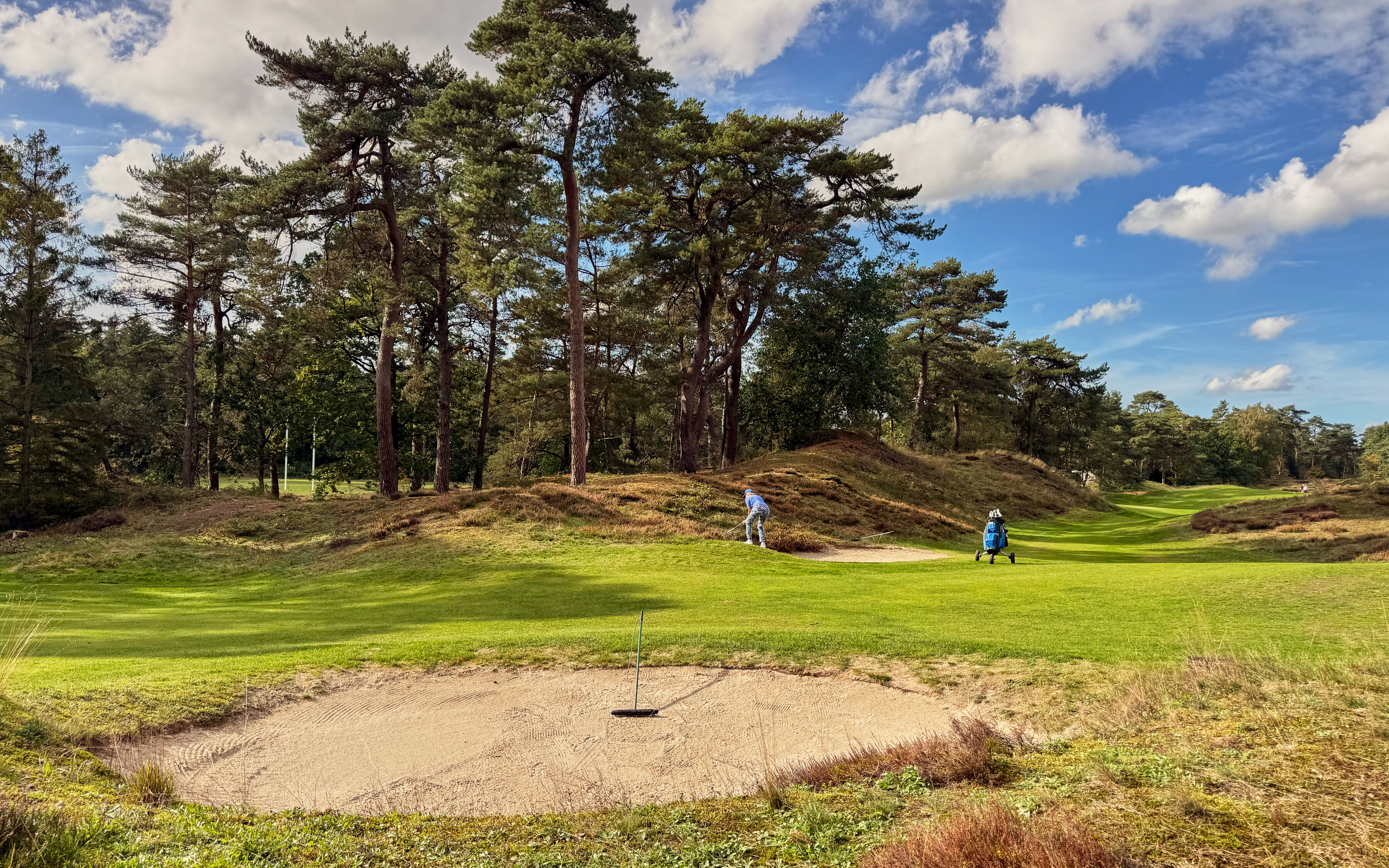PvW The Golfers View 4388