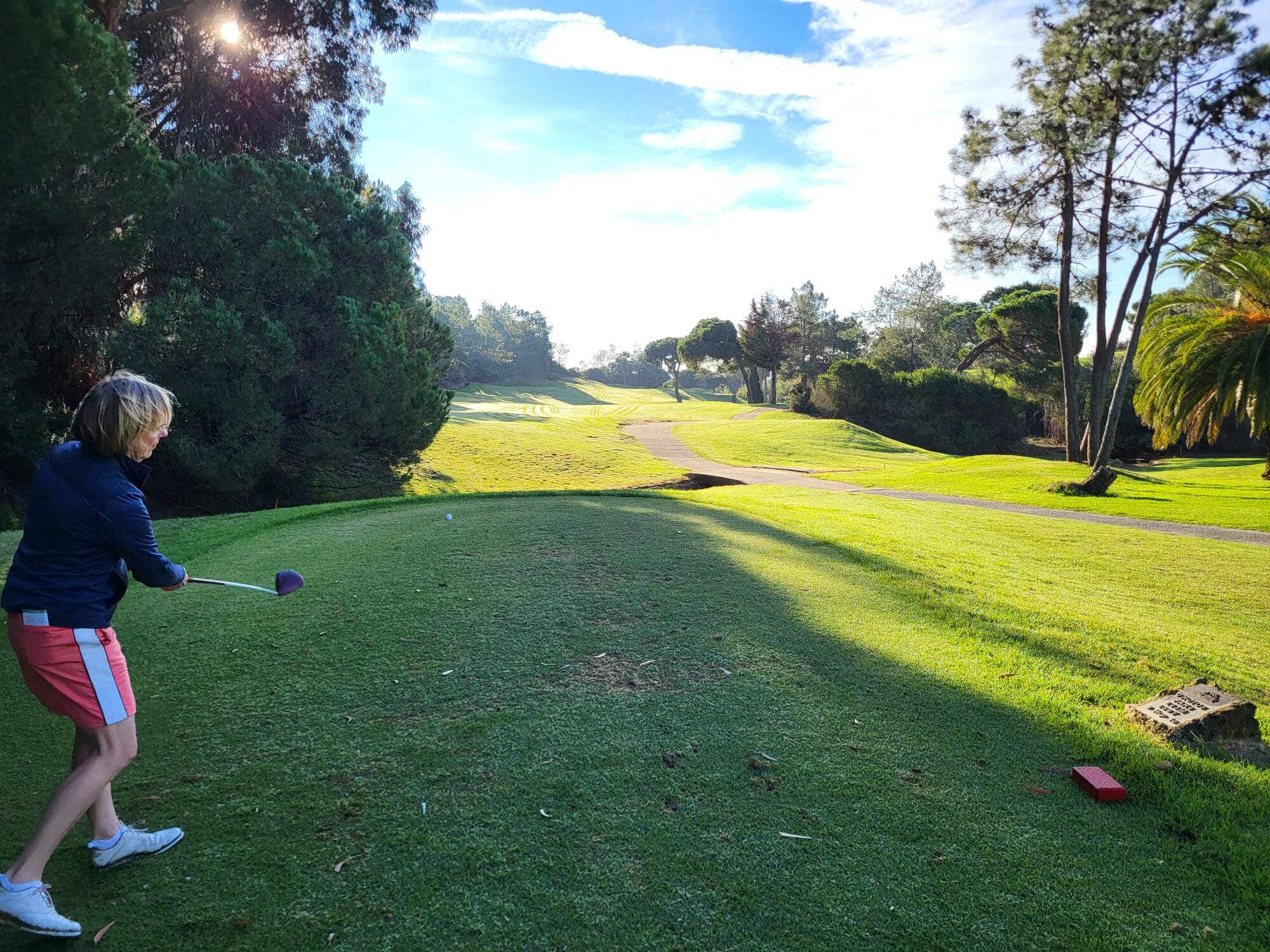 Afbeelding van WhatsApp op 2024-12-06 om 15.26.02_34f2130f.jpg