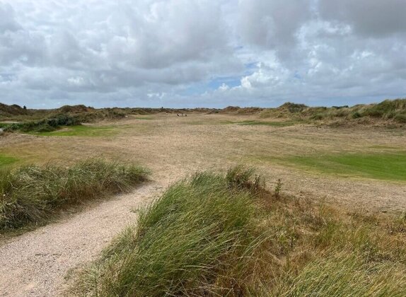 Ronald Massaut - Verdord landschap begin augustus