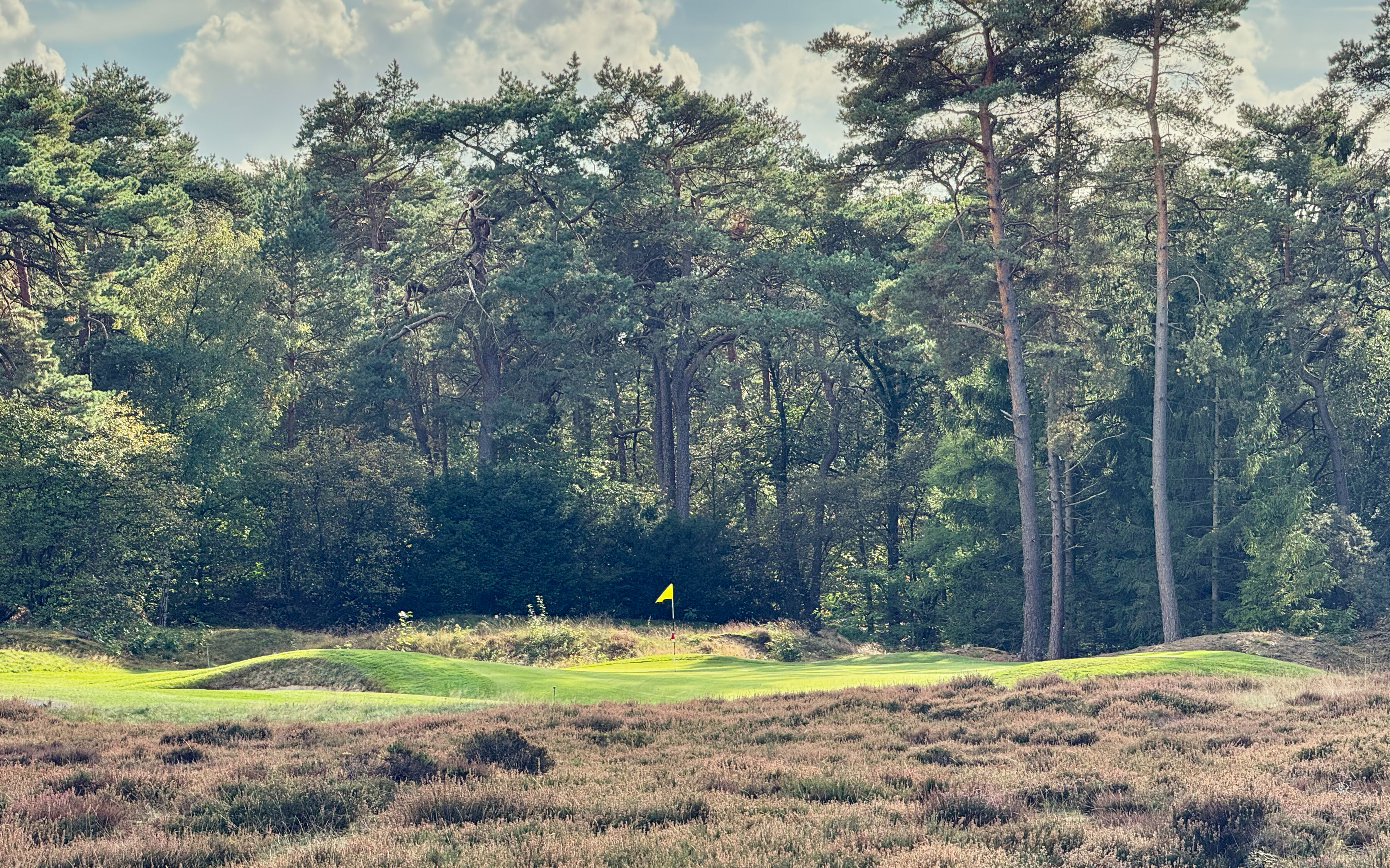 PvW The Golfers View 4390