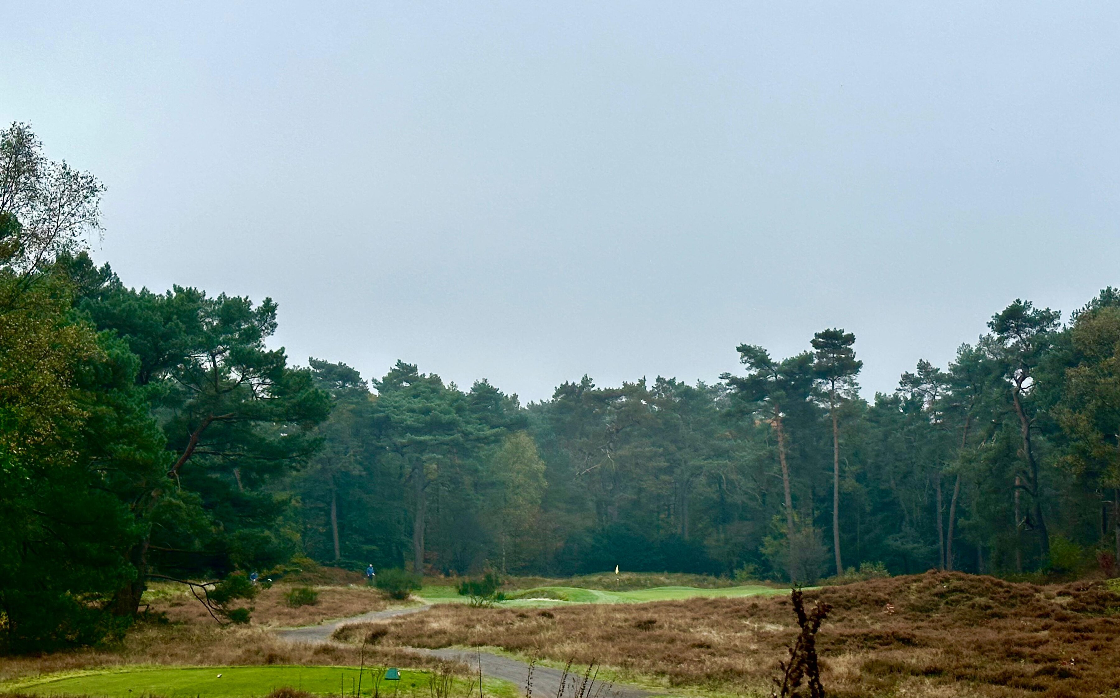 Afbeelding van WhatsApp op 2024-10-23 om 23.50.23_2aa9e75a.jpg