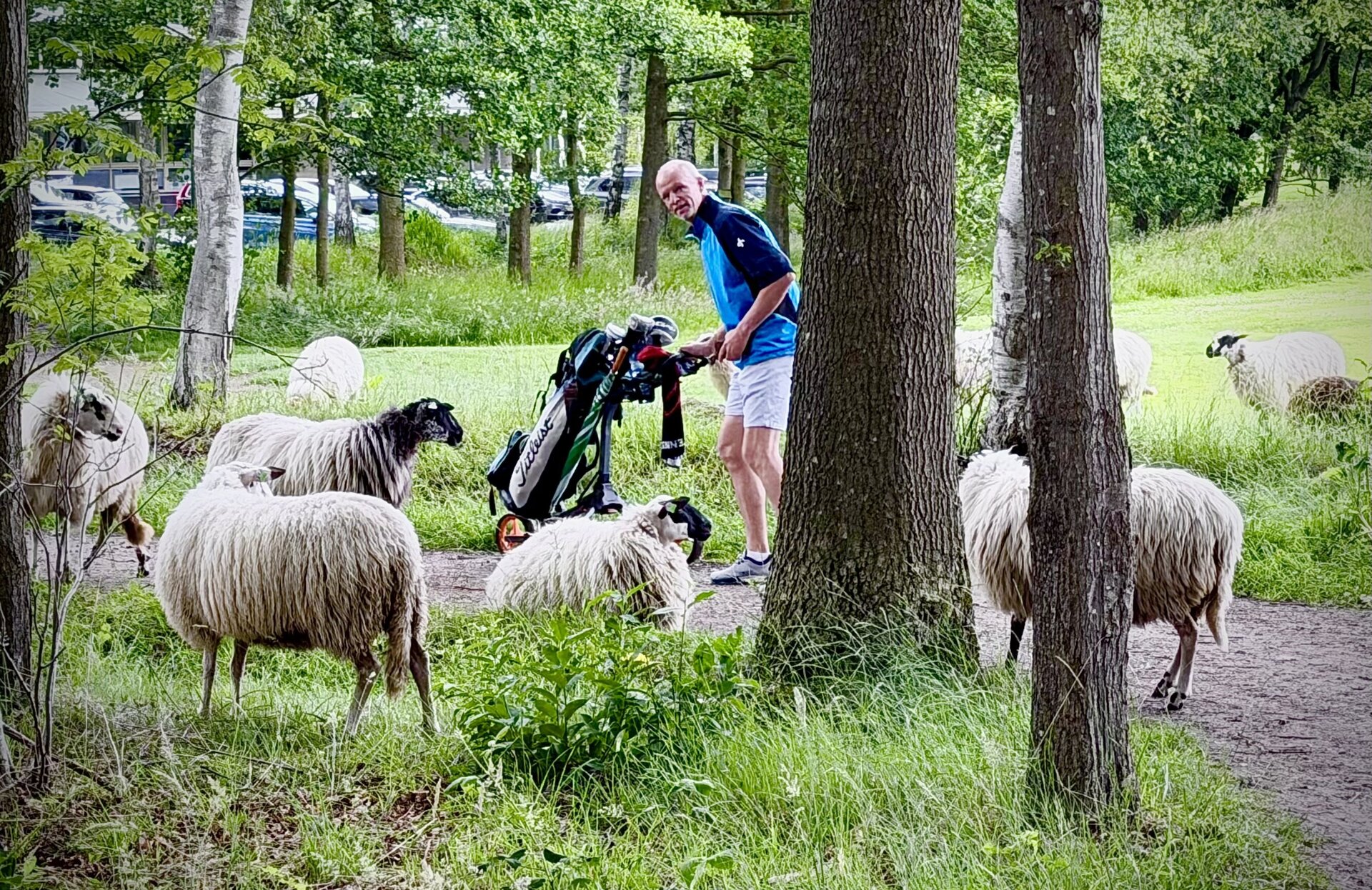 Henk Koster