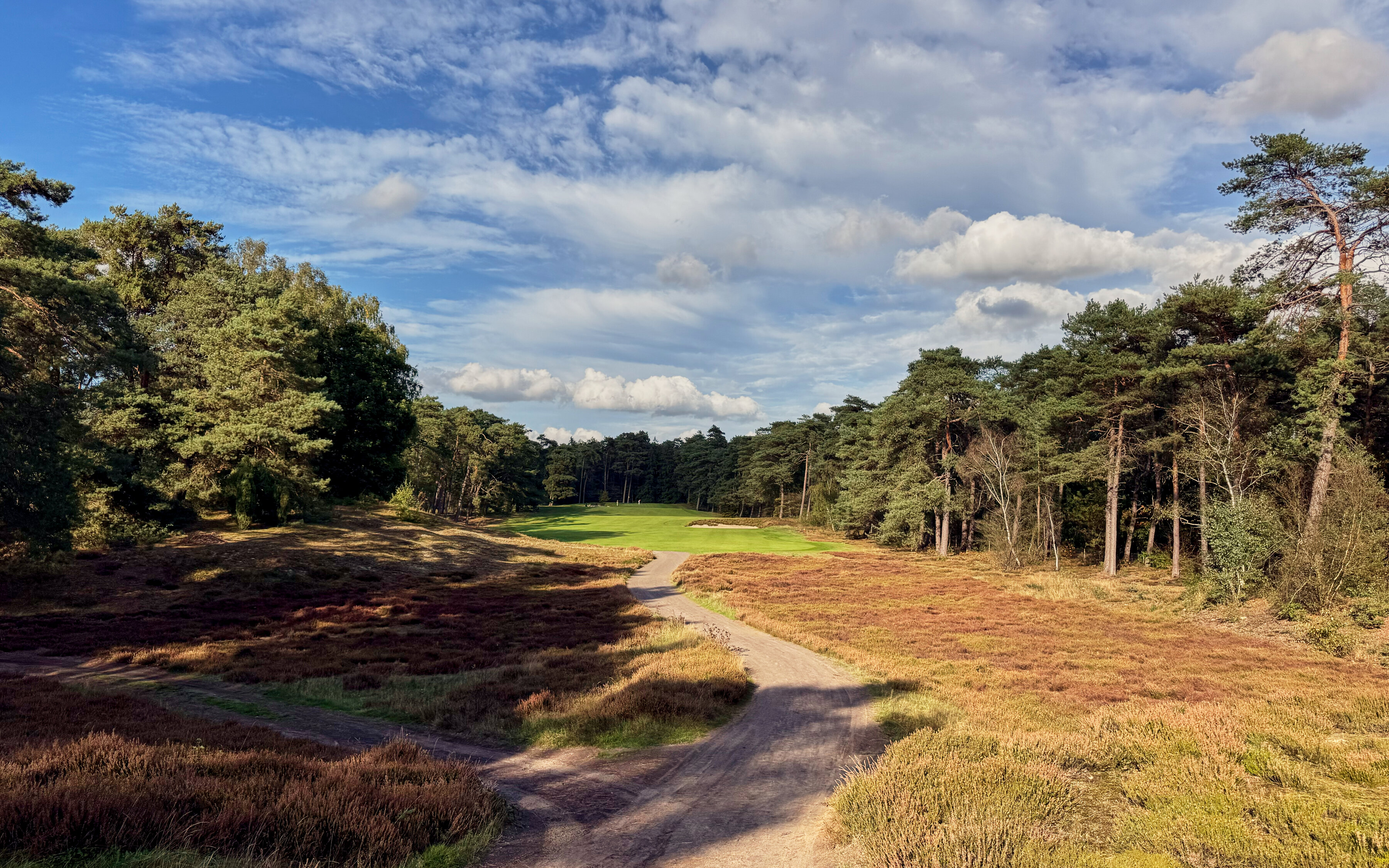 PvW The Golfers View 4392