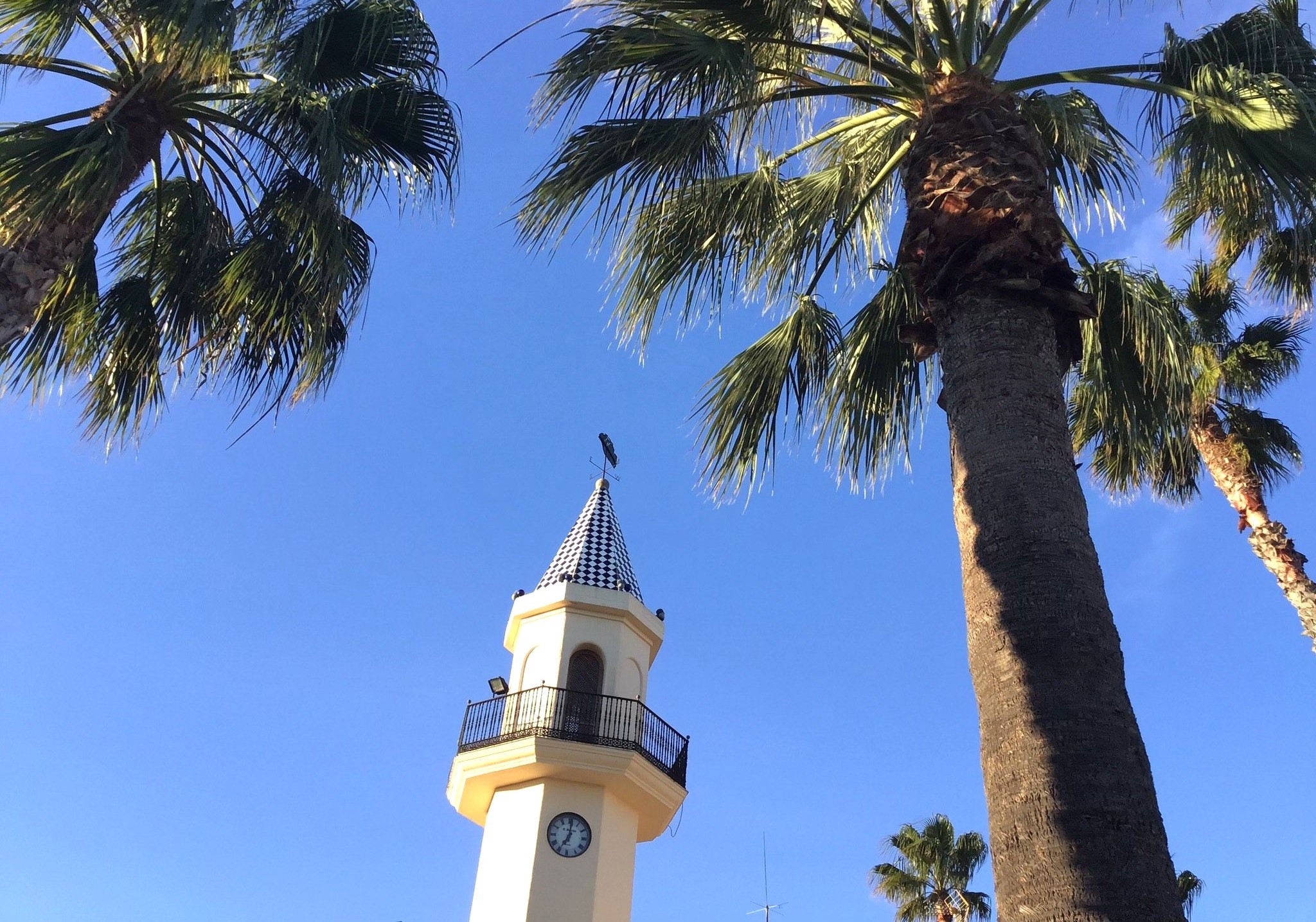 De toren van het clubhuis steekt uit boven de palmbomen.