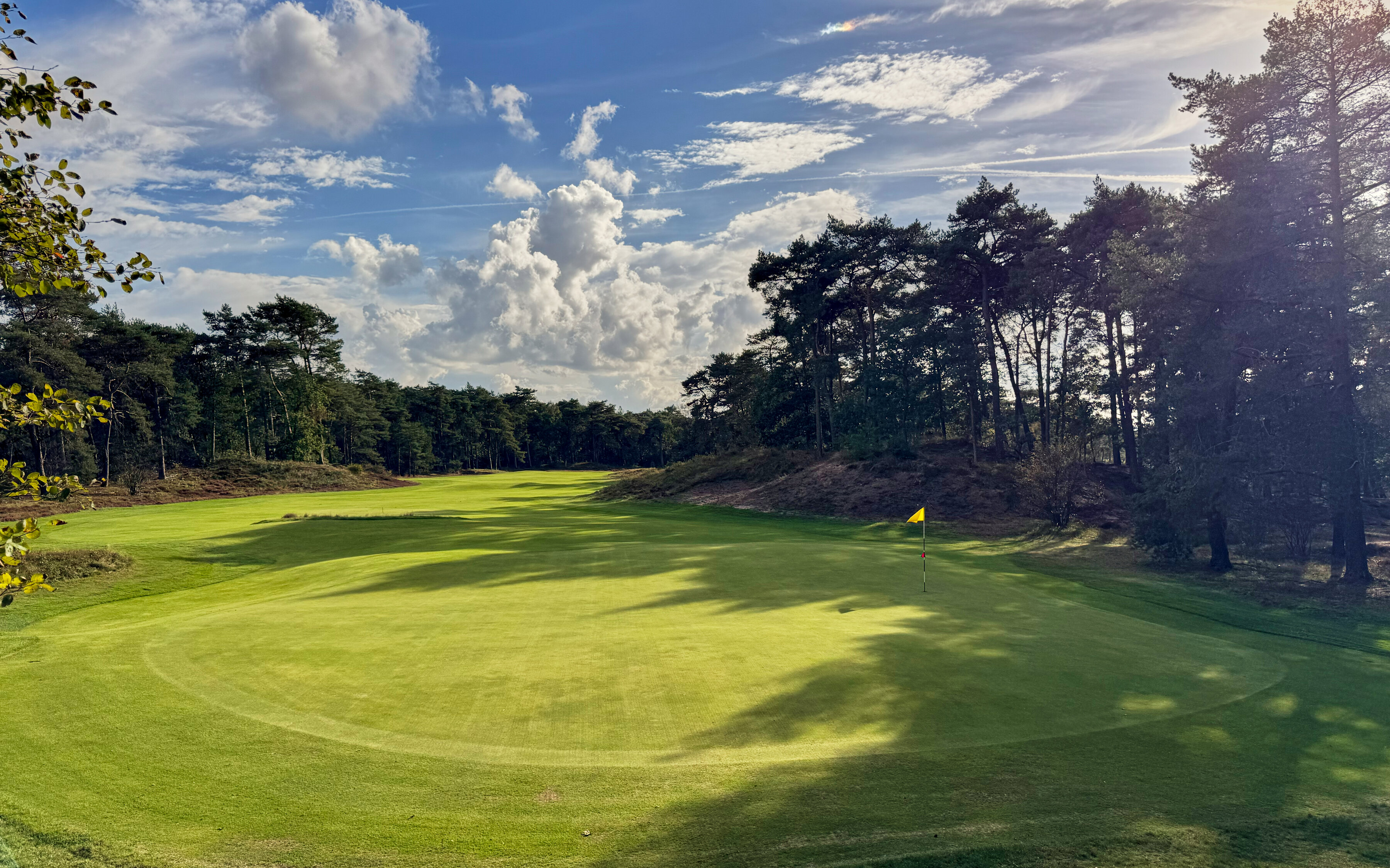 PvW The Golfers View 4391