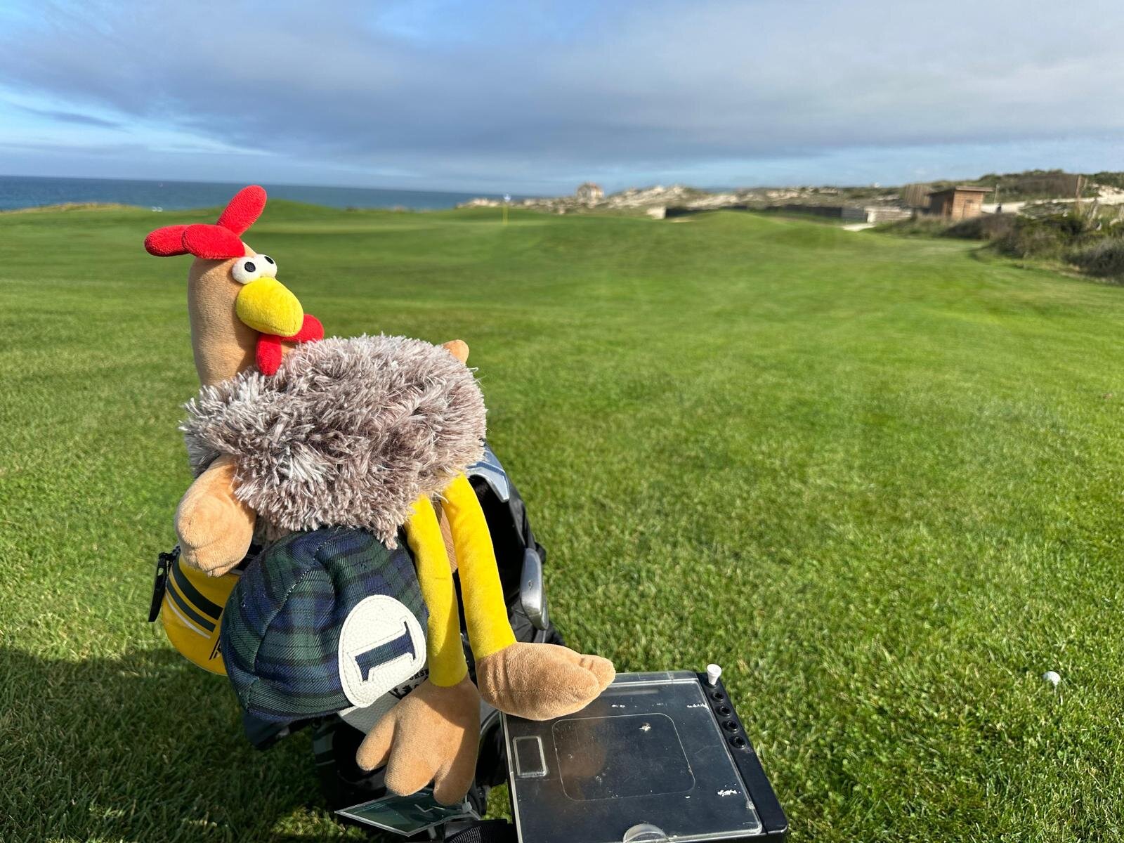 Afbeelding van WhatsApp op 2024-11-11 om 17.15.35_8db9bd39.jpg