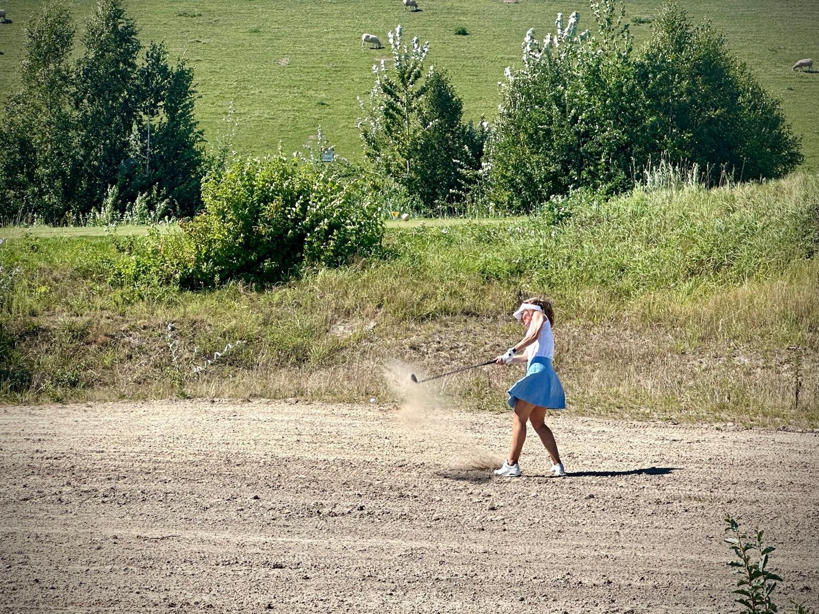 Helene Wiesenhaan e.a.