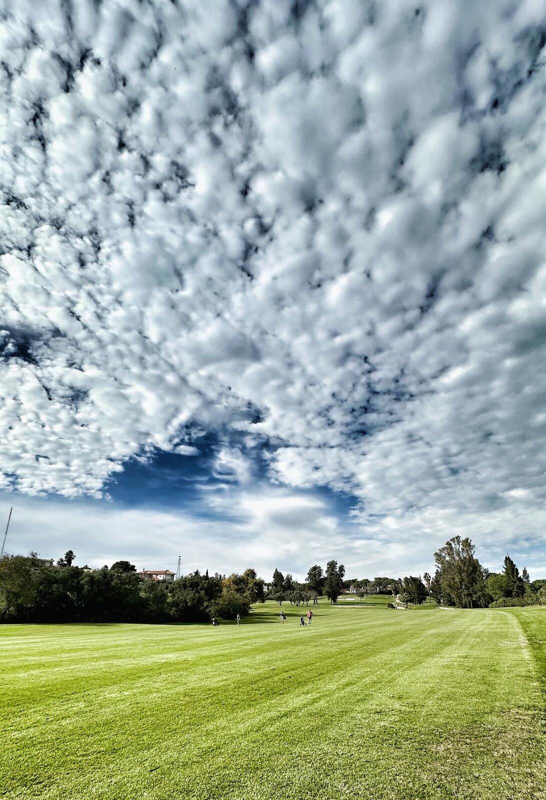 Afbeelding van WhatsApp op 2024-12-07 om 21.24.24_6551e67a.jpg