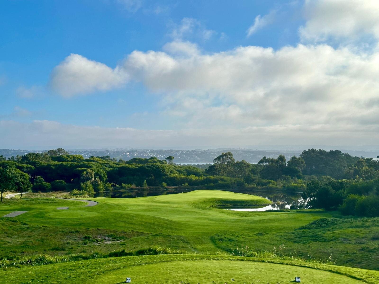 Afbeelding van WhatsApp op 2024-11-11 om 17.15.39_a440e90f.jpg