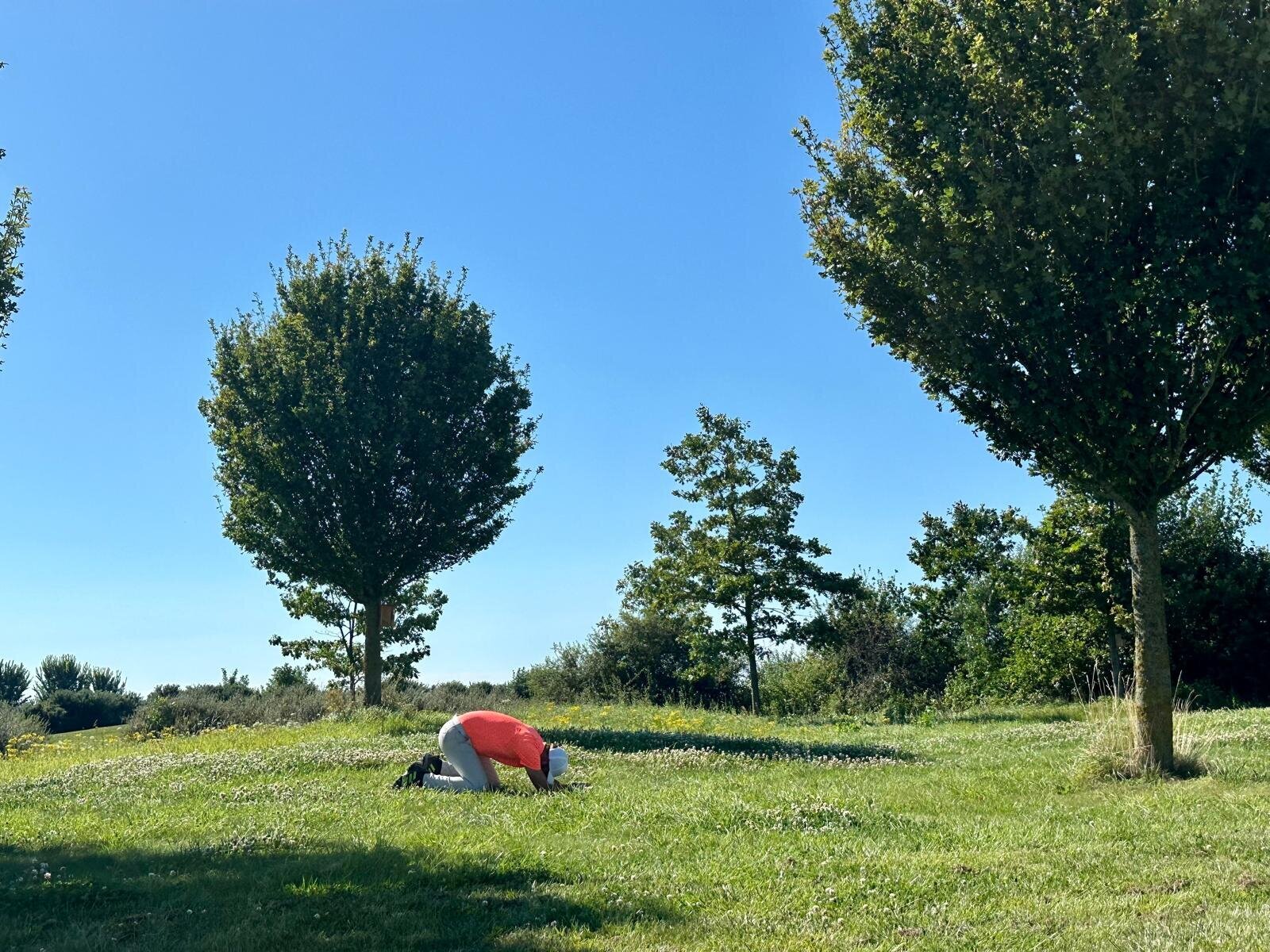 Helene Wiesenhaan e.a.