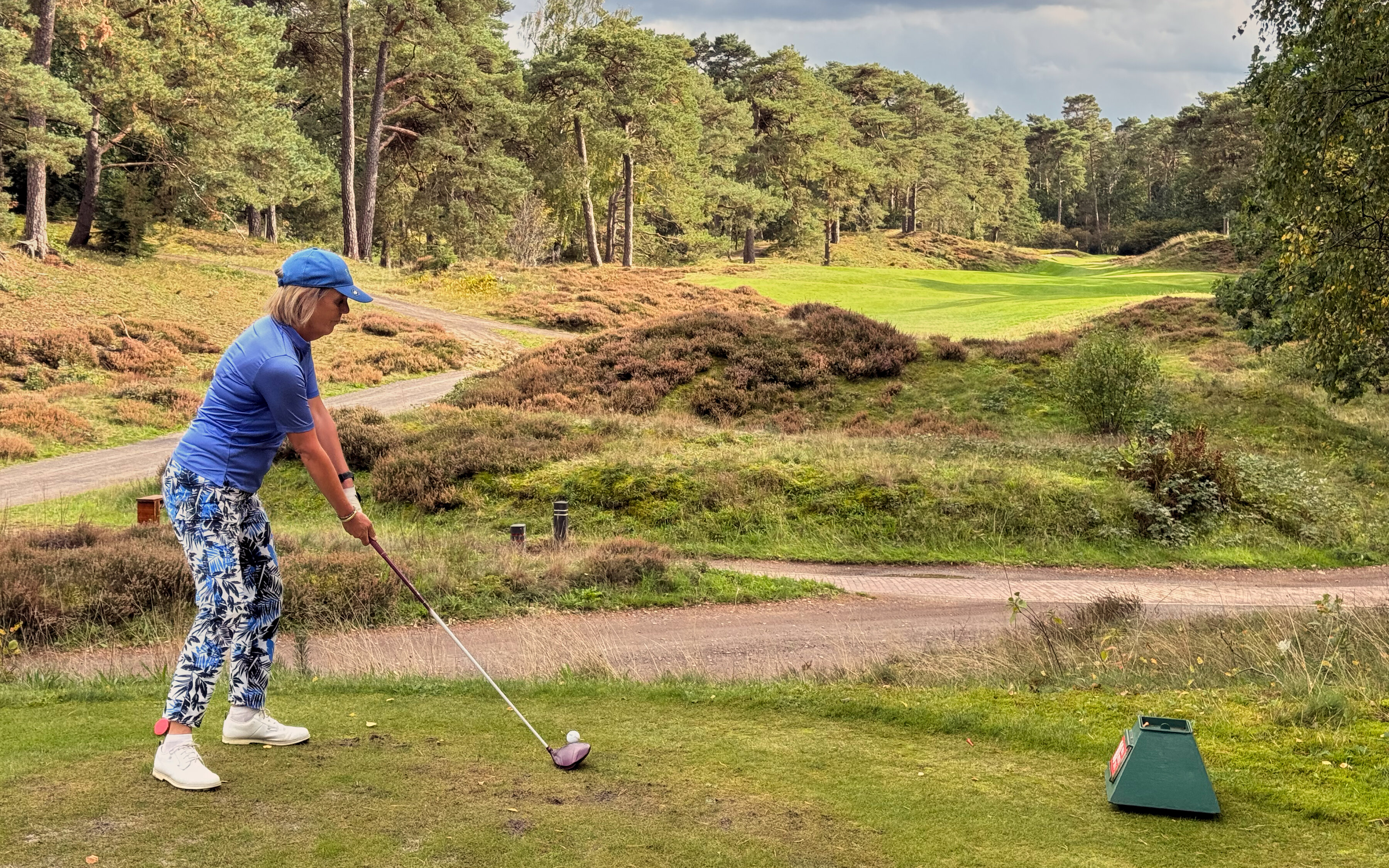PvW The Golfers View 4385