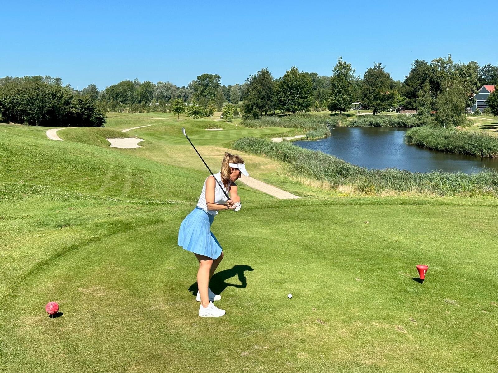 Helene Wiesenhaan e.a.