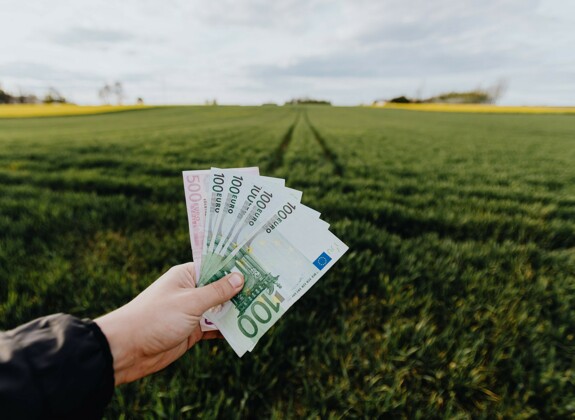 Pexels / Karolina Grabowska