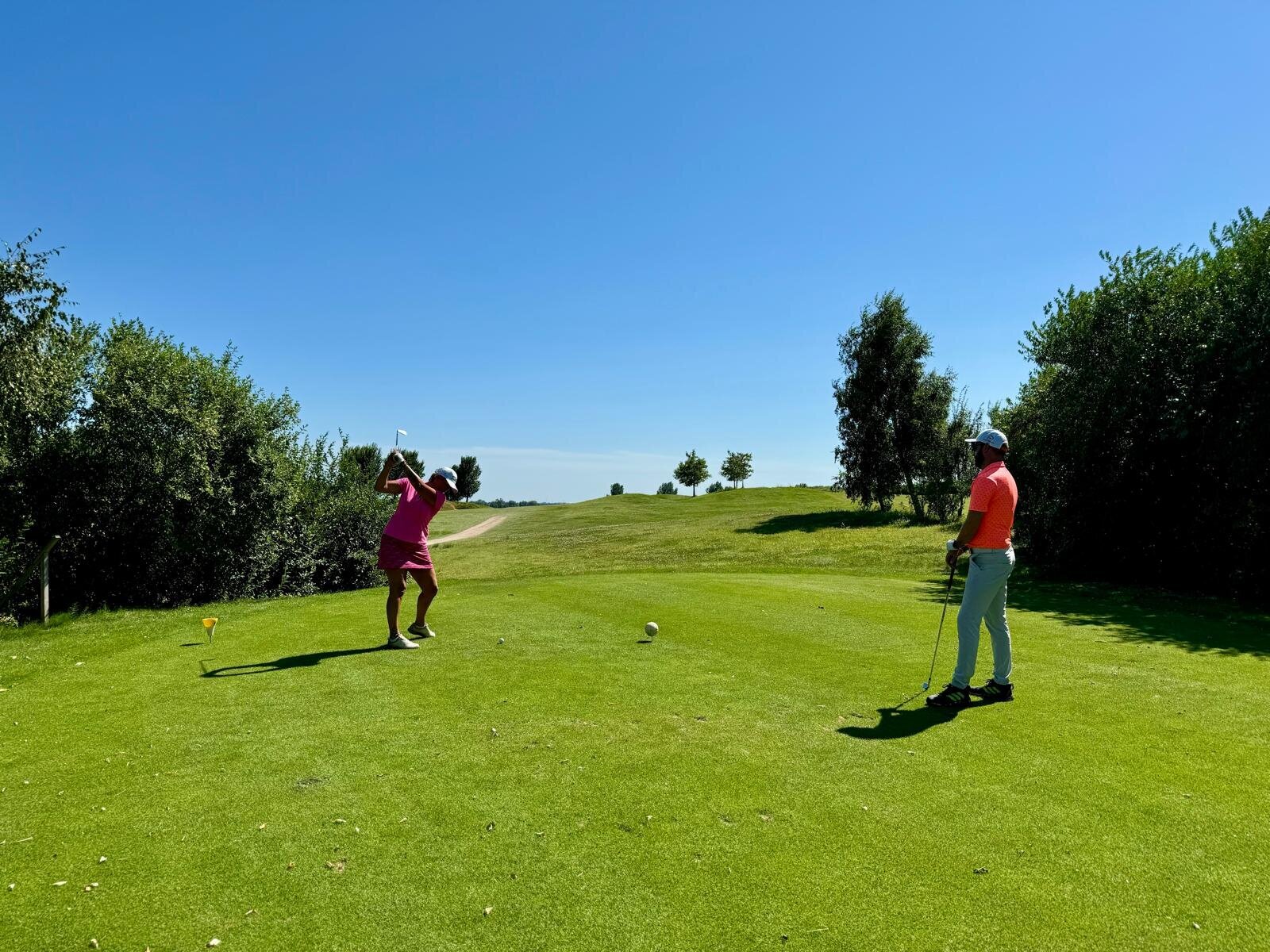 Helene Wiesenhaan e.a.