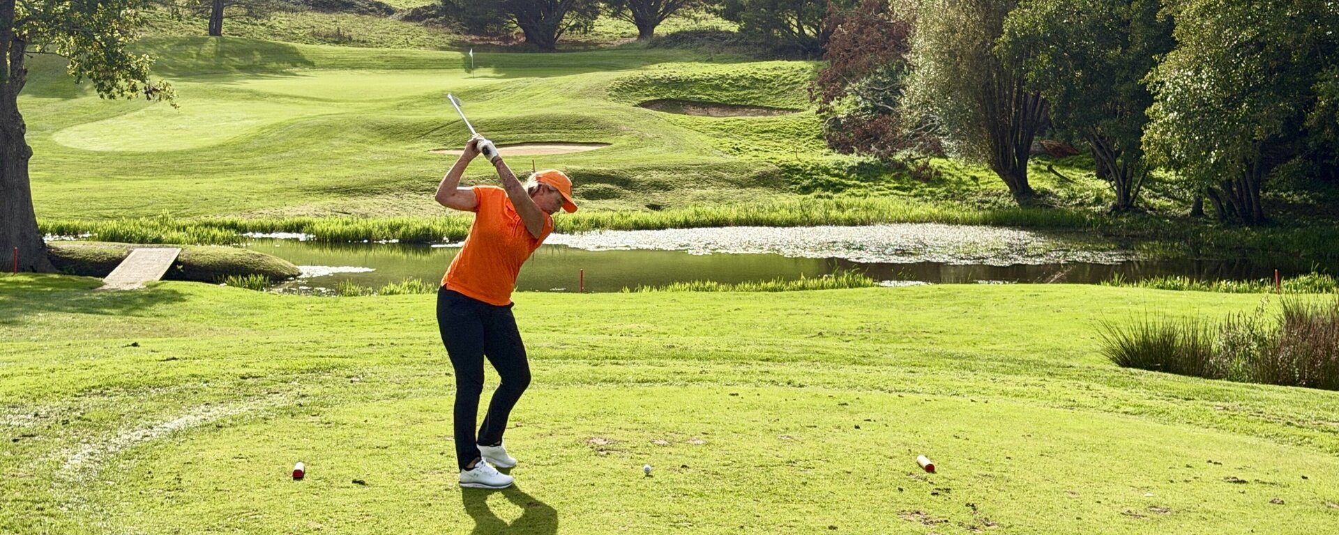 Hélène Wiesenhaan