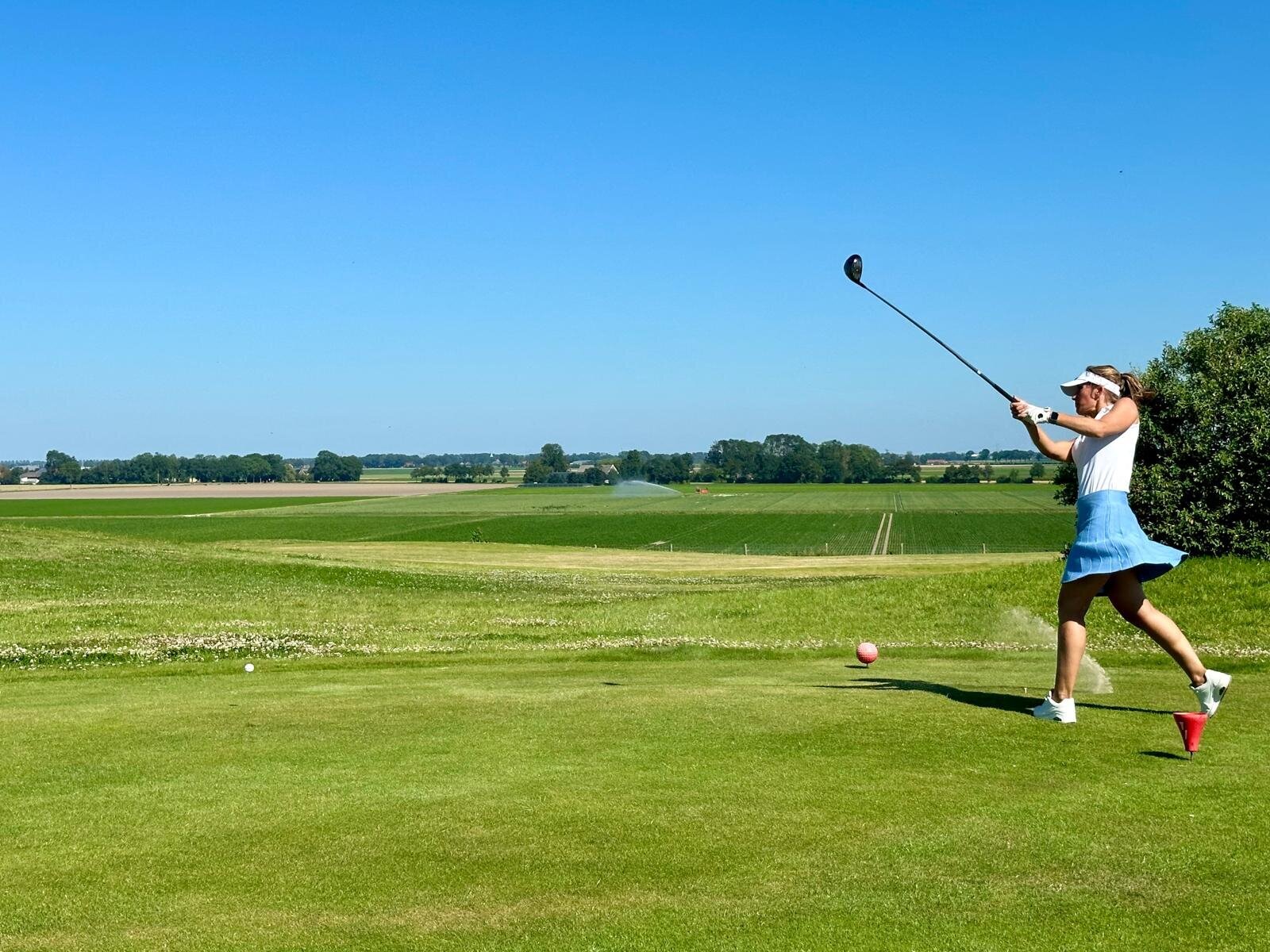 Helene Wiesenhaan e.a.