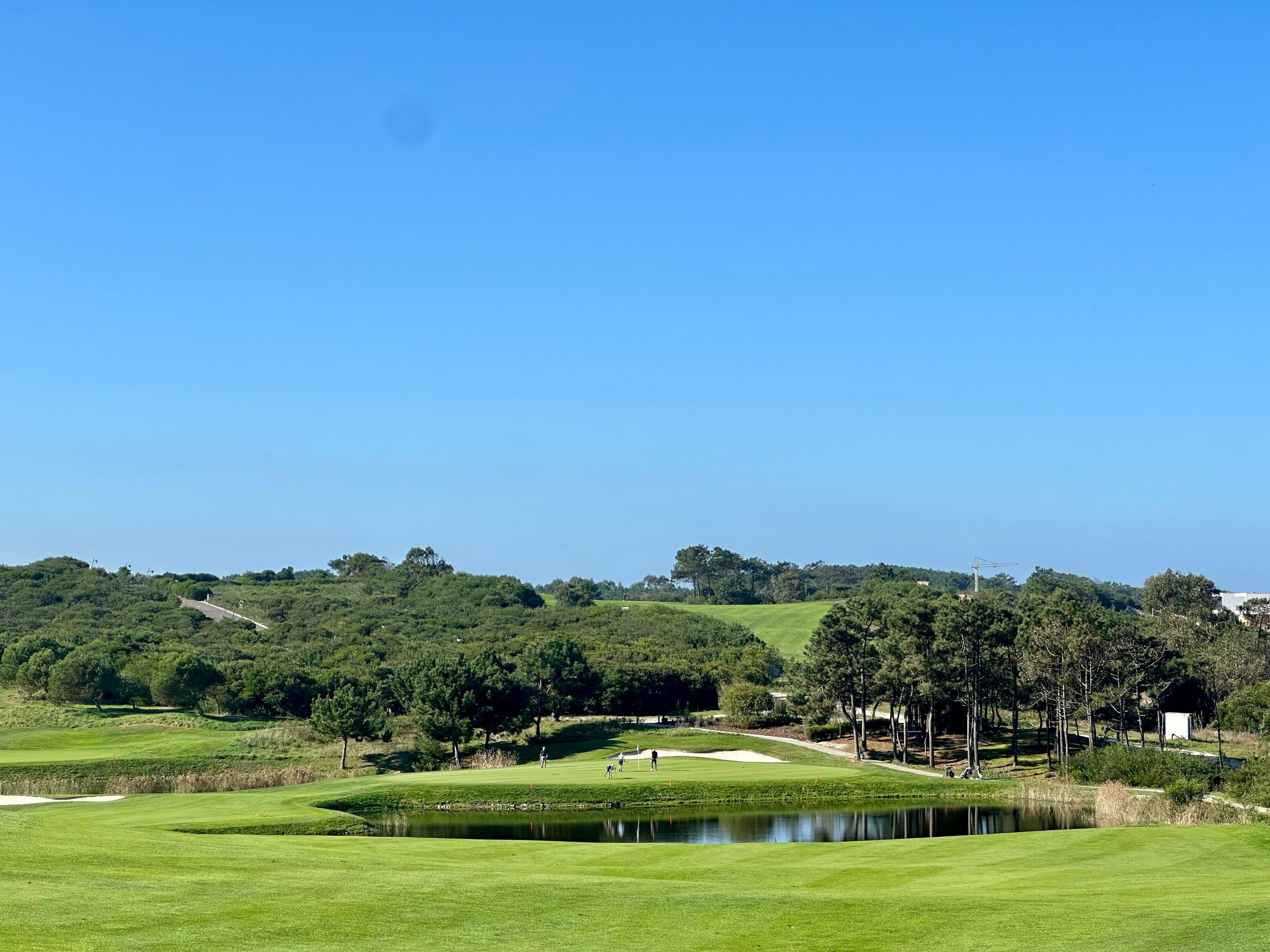 Afbeelding van WhatsApp op 2024-11-14 om 18.52.03_85ab8224.jpg