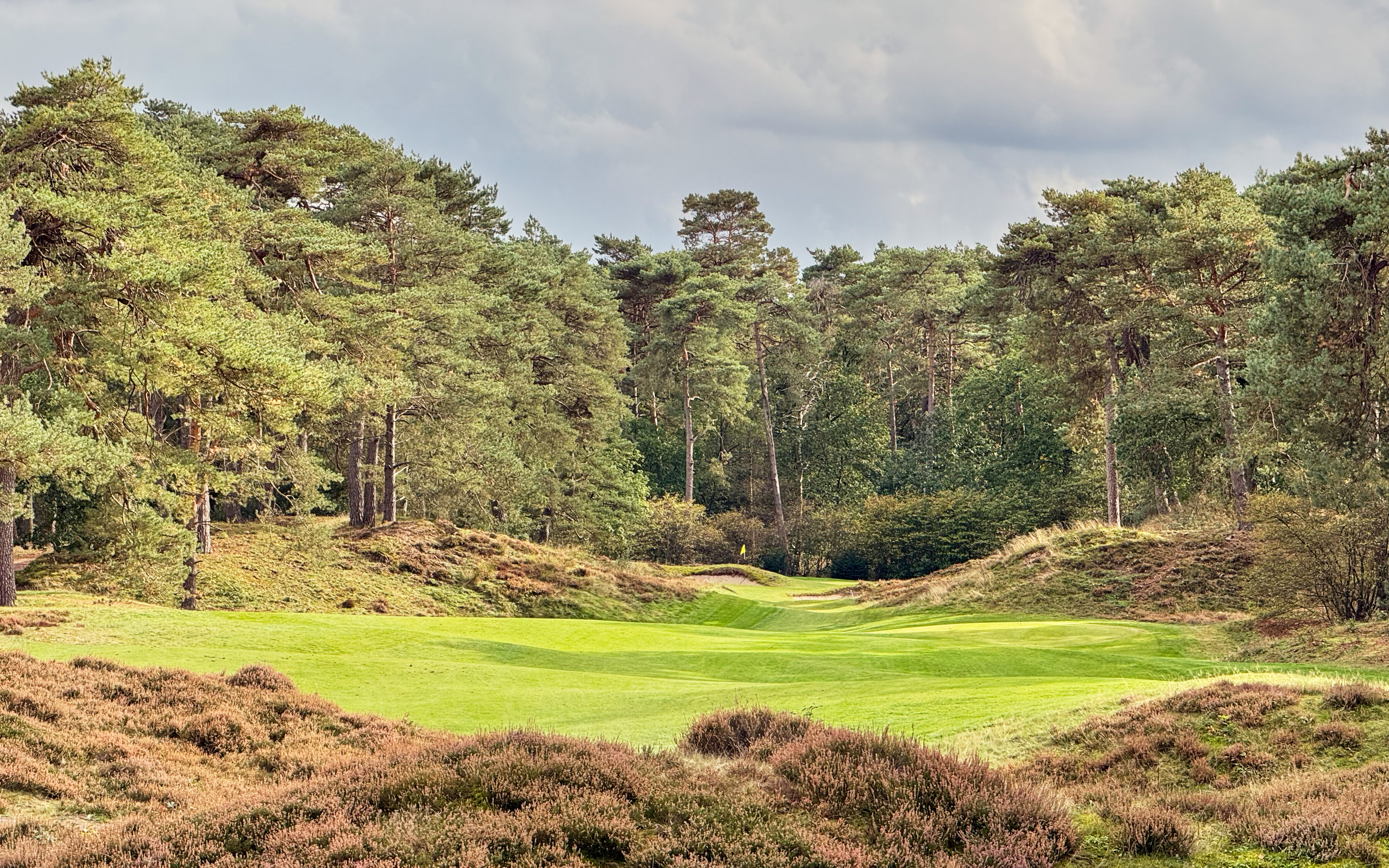 PvW The Golfers View 4384