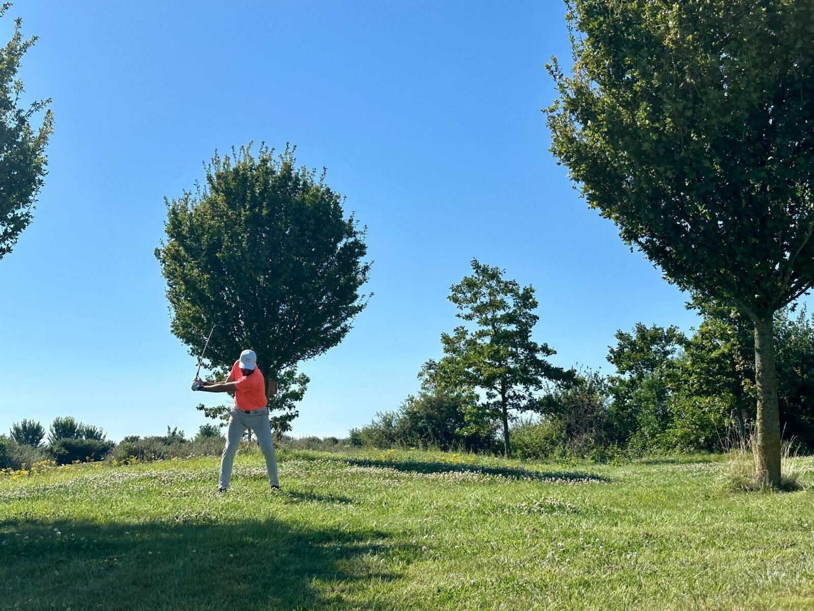 Helene Wiesenhaan e.a.