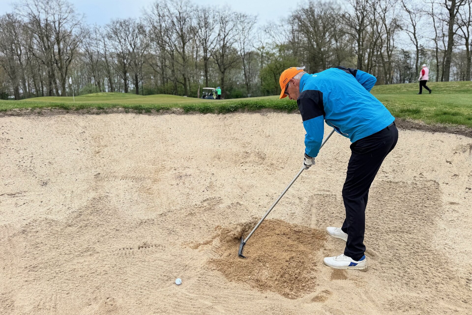 Hannie Verhoeven