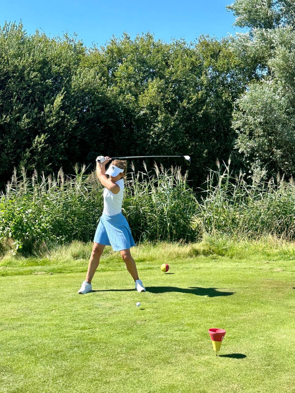 Helene Wiesenhaan e.a.