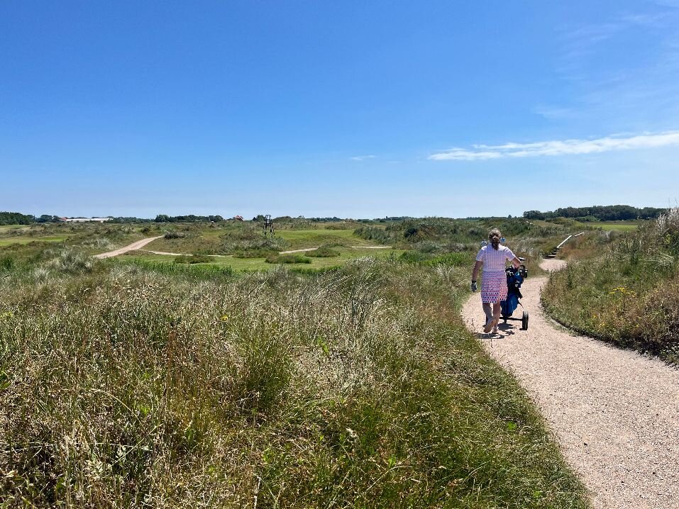 Ronald Masaut - Texel nog groen op 21 juni..