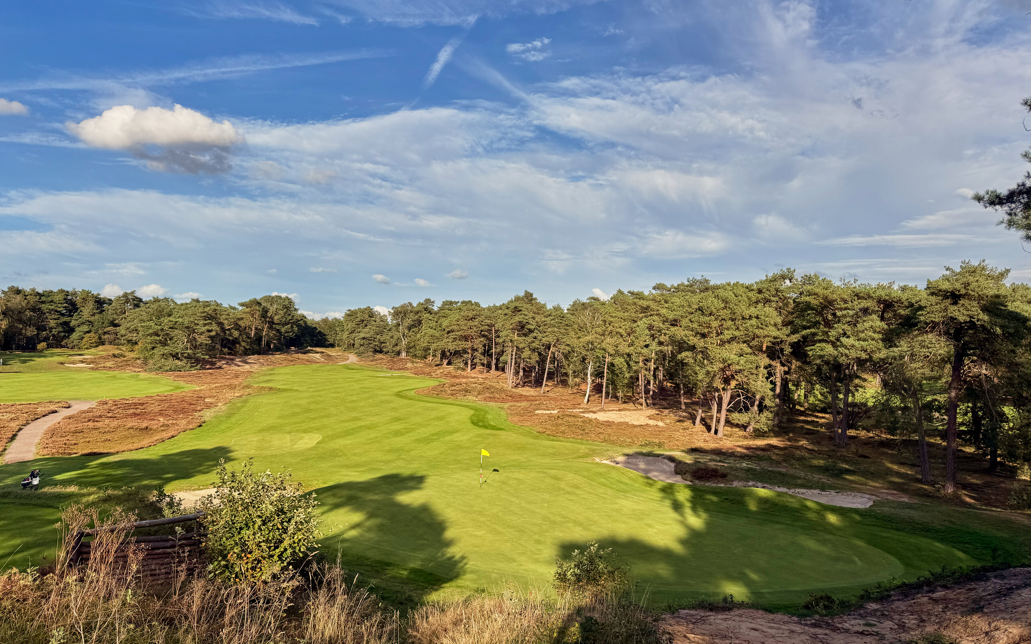 PvW The Golfers View 4393