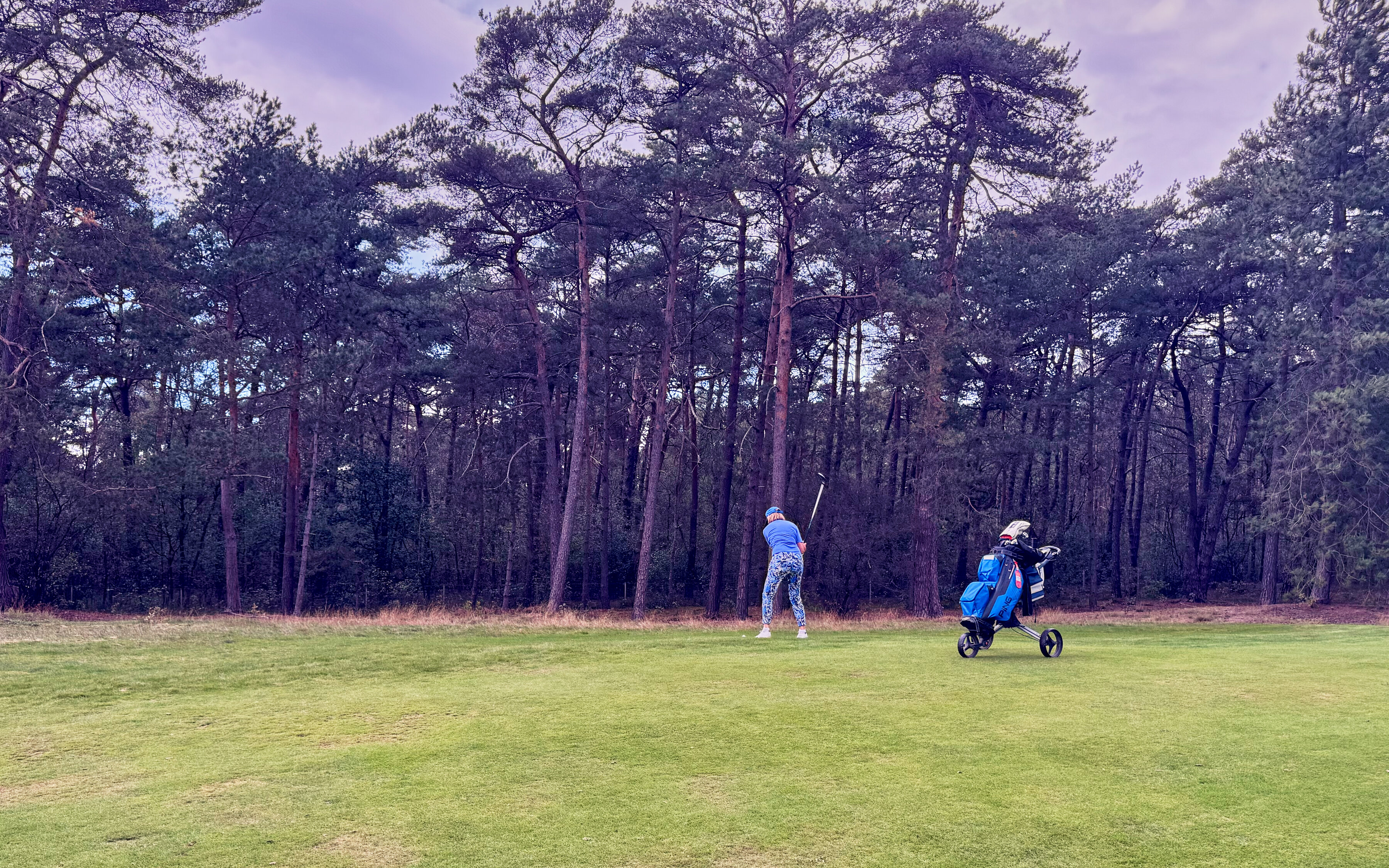 PvW The Golfers View 4378