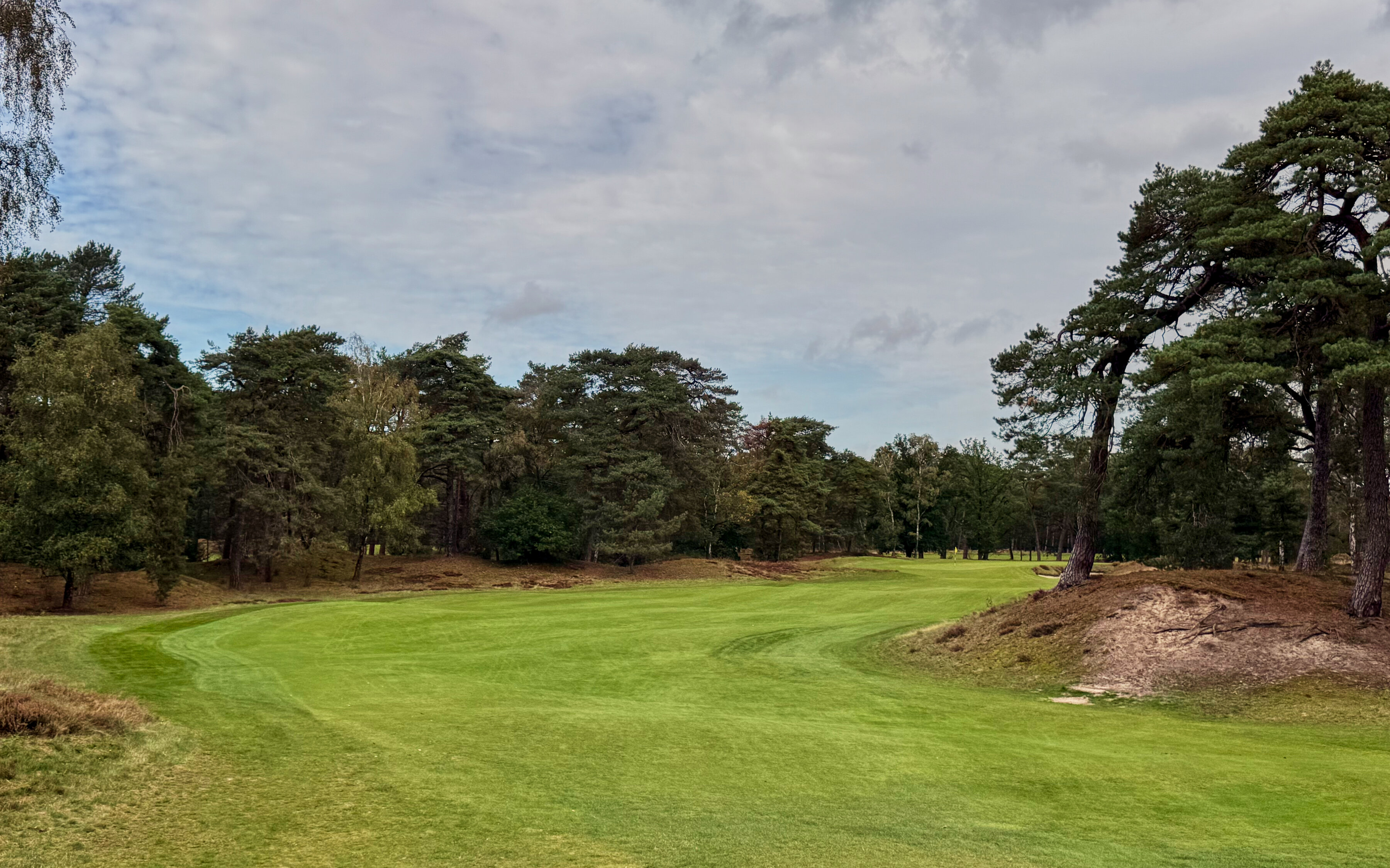PvW The Golfers View 4382